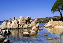 开云体育在线-红军折戟！利物浦三线崩盘，英超争冠格局一夜剧变